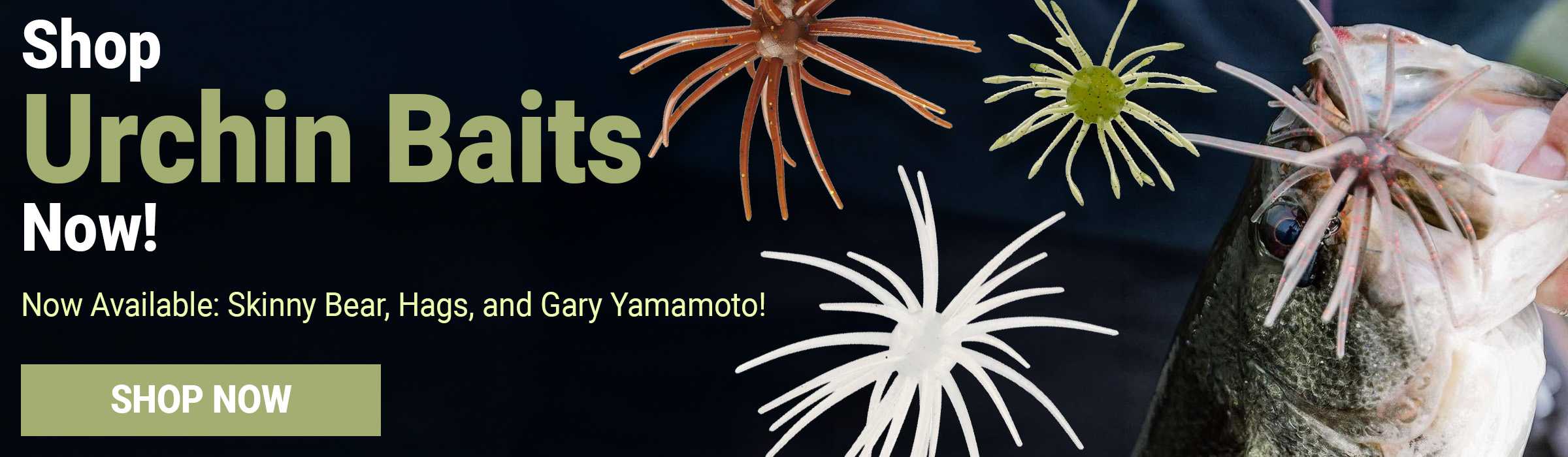 Shop Urchin Baits